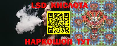 спайс Баксан
